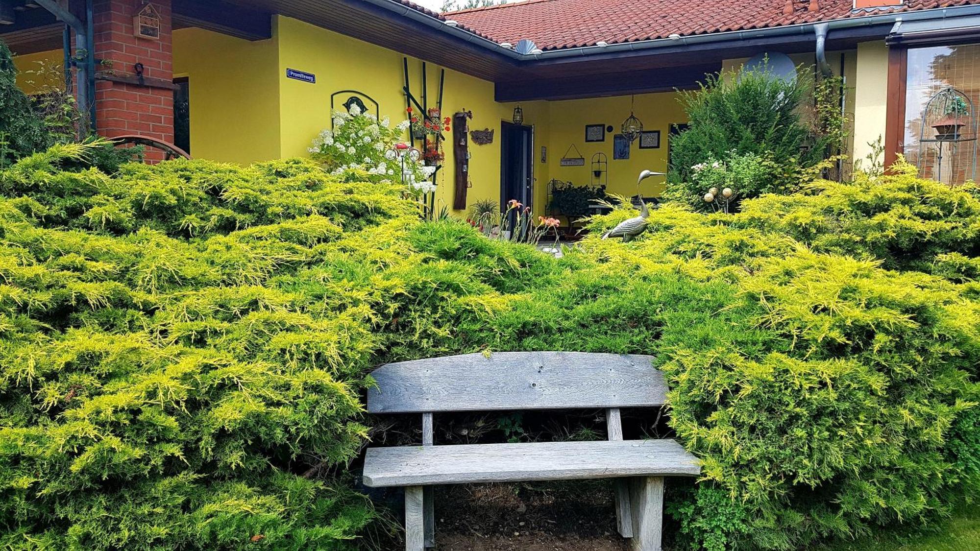 Ferienwohnung Guenther , 3 - Sterne Waren  Exterior foto